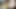 My Muslim aunty blowjob my circumcised dick