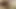 Whore Carolyn Loves My Cock In Her Cunt & Arse & Face Spunk