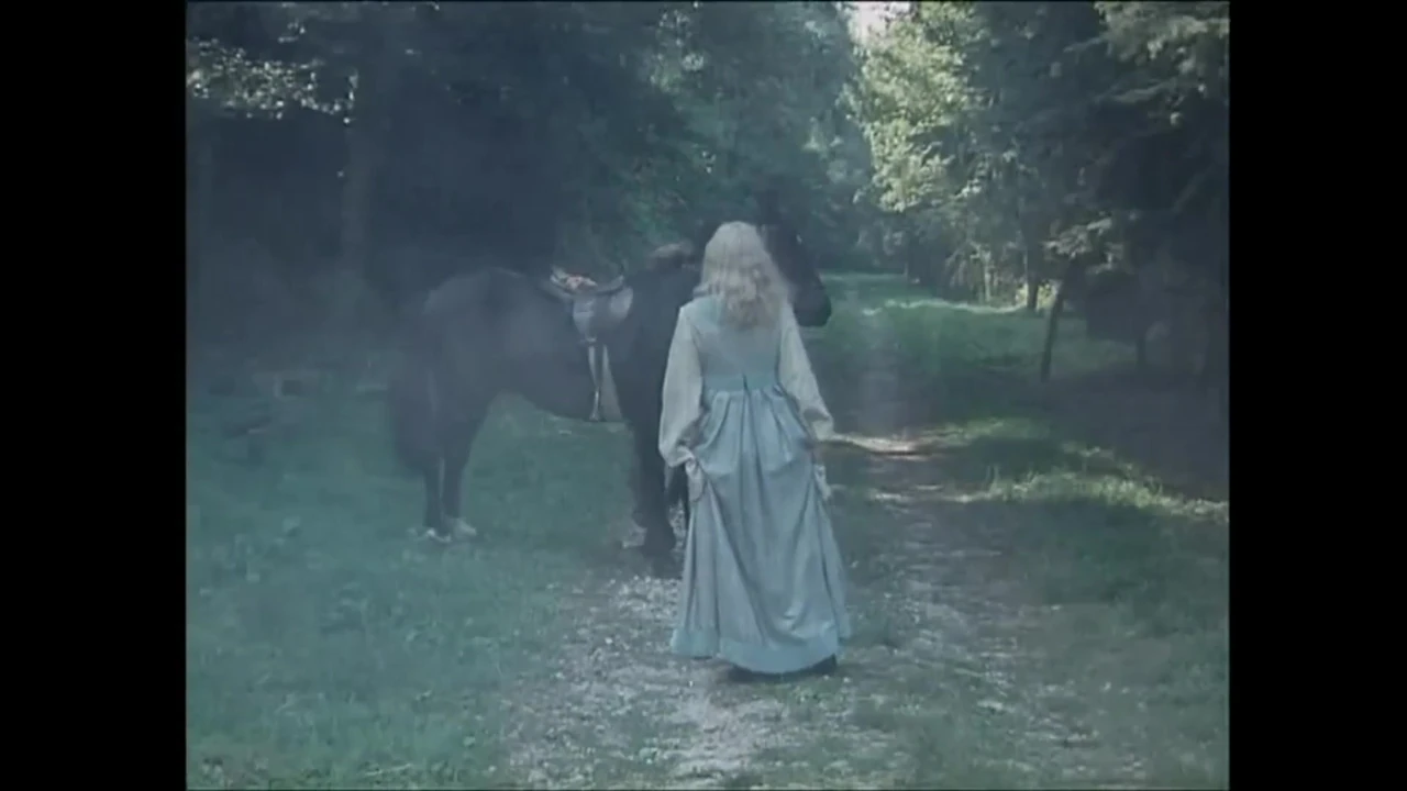 Robin Hood XXX – (original version in Full HD restyling)