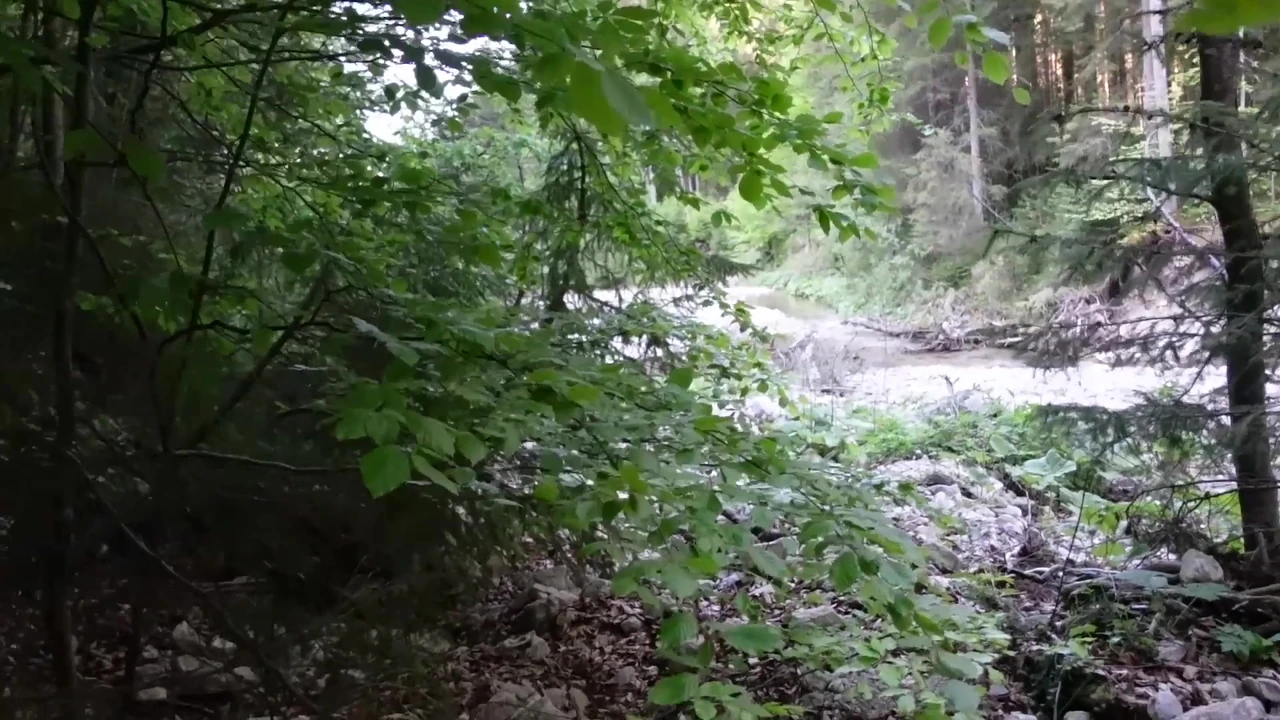 Watched by voyeur at the bath stream and totally away without mercy! Ultra Cumshots!